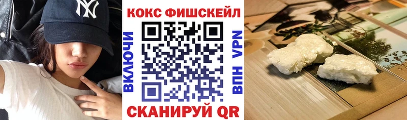 Cocaine FishScale  Купить закладки  Куровское 