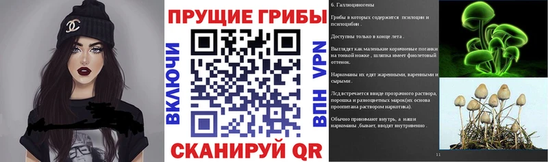 Купить закладки  Куровское  Галлюциногенные грибы прущие грибы 