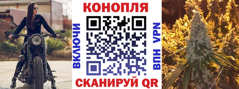 МАРИХУАНА сатива  Купить  Куровское 